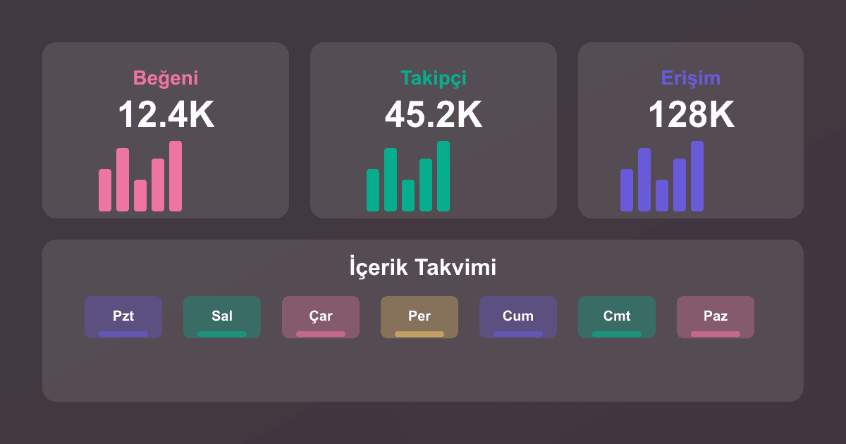Sosyal Medya Metrikleri