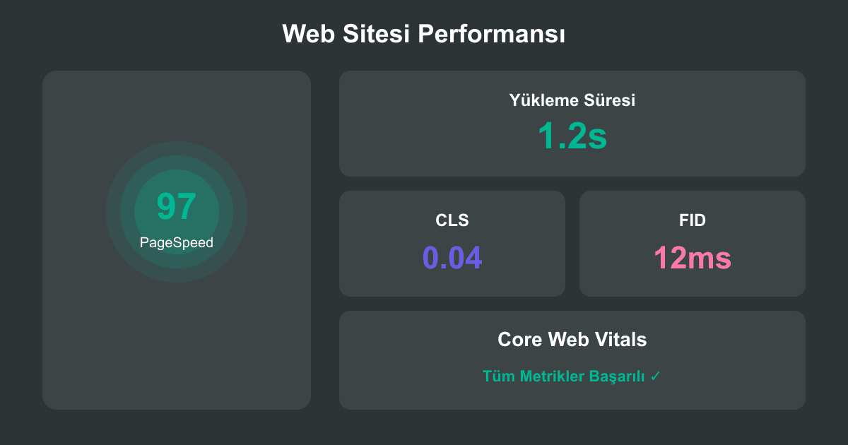 Web Sitesi Performansı